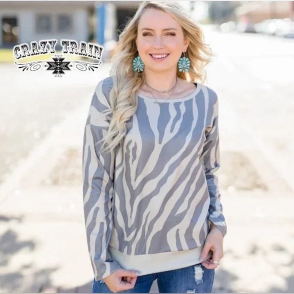 👩‍🏫Education Fundraiser📚Shop to Support✏️Crazy Train Wild Night Pullover